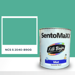 Filli Boya Sentomaxx Boya NCS S 2040-B90G