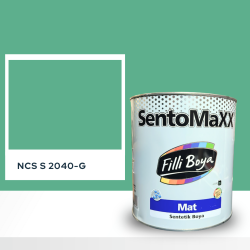 Filli Boya Sentomaxx Boya NCS S 2040-G