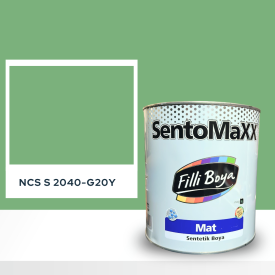 Filli Boya Sentomaxx Boya NCS S 2040-G20Y