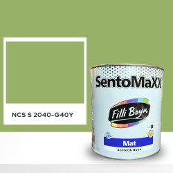 Filli Boya Sentomaxx Boya NCS S 2040-G40Y