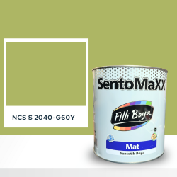 Filli Boya Sentomaxx Boya NCS S 2040-G60Y