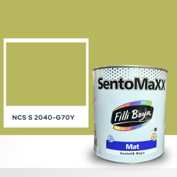 Filli Boya Sentomaxx Boya NCS S 2040-G70Y