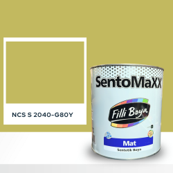 Filli Boya Sentomaxx Boya NCS S 2040-G80Y