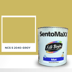 Filli Boya Sentomaxx Boya NCS S 2040-G90Y