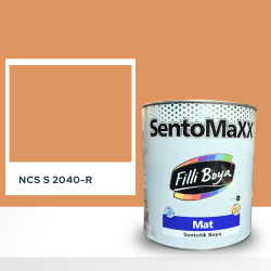 Filli Boya Sentomaxx Boya NCS S 2040-R