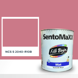 Filli Boya Sentomaxx Boya NCS S 2040-R10B