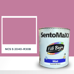 Filli Boya Sentomaxx Boya NCS S 2040-R30B
