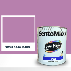 Filli Boya Sentomaxx Boya NCS S 2040-R40B