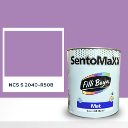 Filli Boya Sentomaxx Boya NCS S 2040-R50B
