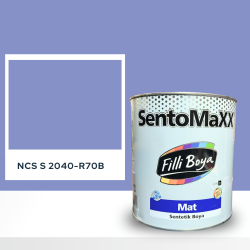 Filli Boya Sentomaxx Boya NCS S 2040-R70B