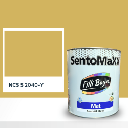 Filli Boya Sentomaxx Boya NCS S 2040-Y