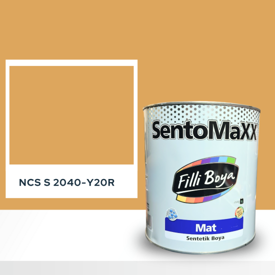 Filli Boya Sentomaxx Boya NCS S 2040-Y20R