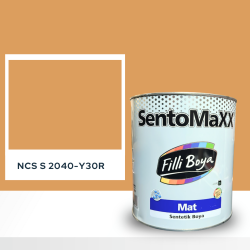 Filli Boya Sentomaxx Boya NCS S 2040-Y30R