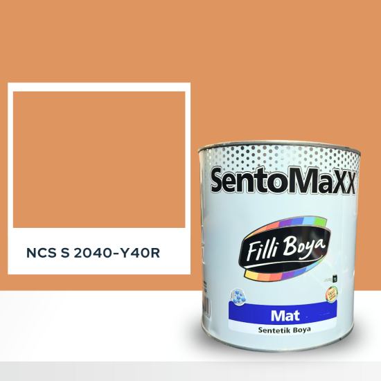 Filli Boya Sentomaxx Boya NCS S 2040-Y40R