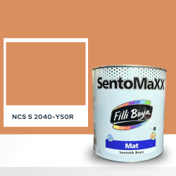 Filli Boya Sentomaxx Boya NCS S 2040-Y50R