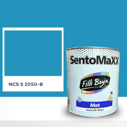 Filli Boya Sentomaxx Boya NCS S 2050-B