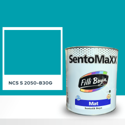 Filli Boya Sentomaxx Boya NCS S 2050-B30G