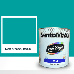 Filli Boya Sentomaxx Boya NCS S 2050-B50G