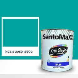 Filli Boya Sentomaxx Boya NCS S 2050-B60G