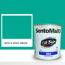 Filli Boya Sentomaxx Boya NCS S 2050-B80G