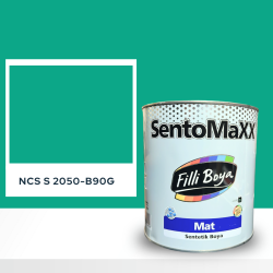 Filli Boya Sentomaxx Boya NCS S 2050-B90G