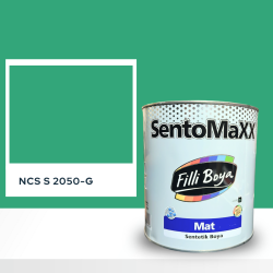Filli Boya Sentomaxx Boya NCS S 2050-G