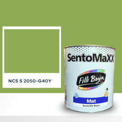 Filli Boya Sentomaxx Boya NCS S 2050-G40Y