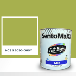 Filli Boya Sentomaxx Boya NCS S 2050-G60Y