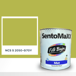 Filli Boya Sentomaxx Boya NCS S 2050-G70Y