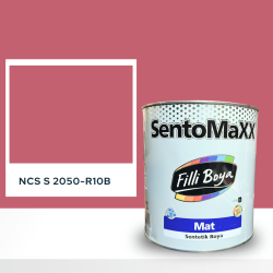 Filli Boya Sentomaxx Boya NCS S 2050-R10B