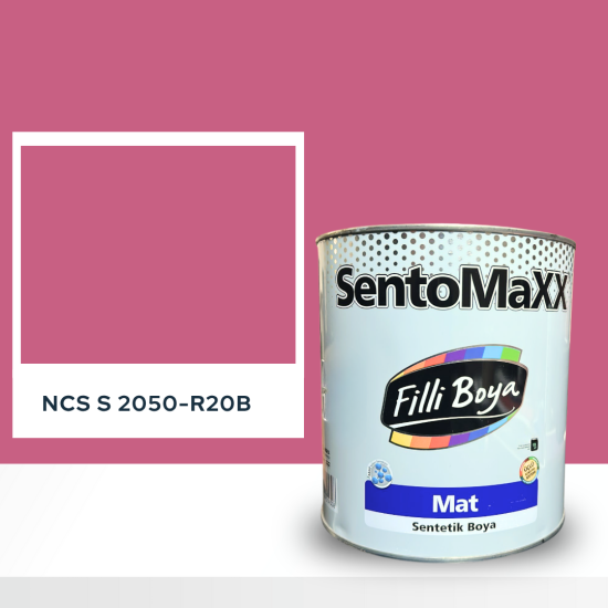 Filli Boya Sentomaxx Boya NCS S 2050-R20B
