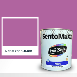 Filli Boya Sentomaxx Boya NCS S 2050-R40B