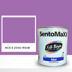 Filli Boya Sentomaxx Boya NCS S 2050-R50B