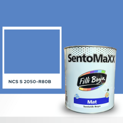 Filli Boya Sentomaxx Boya NCS S 2050-R80B