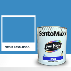 Filli Boya Sentomaxx Boya NCS S 2050-R90B