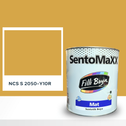 Filli Boya Sentomaxx Boya NCS S 2050-Y10R