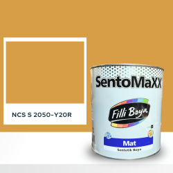 Filli Boya Sentomaxx Boya NCS S 2050-Y20R