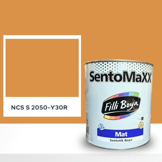 Filli Boya Sentomaxx Boya NCS S 2050-Y30R