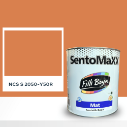 Filli Boya Sentomaxx Boya NCS S 2050-Y50R