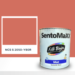 Filli Boya Sentomaxx Boya NCS S 2050-Y80R