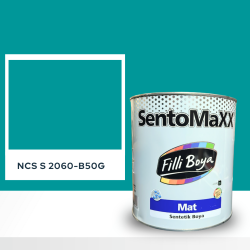 Filli Boya Sentomaxx Boya NCS S 2060-B50G