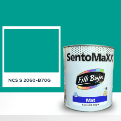 Filli Boya Sentomaxx Boya NCS S 2060-B70G