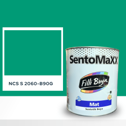Filli Boya Sentomaxx Boya NCS S 2060-B90G