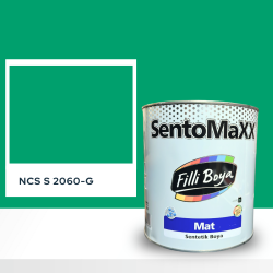 Filli Boya Sentomaxx Boya NCS S 2060-G