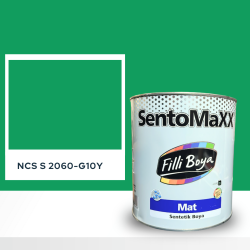 Filli Boya Sentomaxx Boya NCS S 2060-G10Y