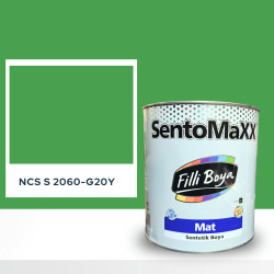 Filli Boya Sentomaxx Boya NCS S 2060-G20Y