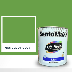 Filli Boya Sentomaxx Boya NCS S 2060-G30Y