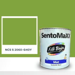 Filli Boya Sentomaxx Boya NCS S 2060-G40Y