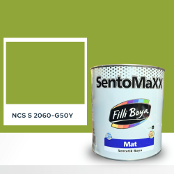 Filli Boya Sentomaxx Boya NCS S 2060-G50Y