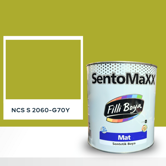 Filli Boya Sentomaxx Boya NCS S 2060-G70Y